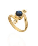 Taula Ring