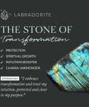 Crystal Bees Labradorite Earrings