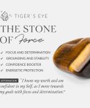 Crystal Bees Tiger Eye Earrings